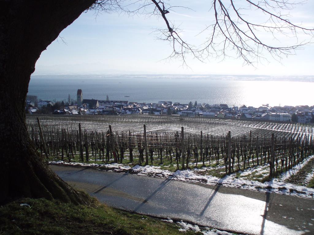 Strandhaus Hagnau 호텔 외부 사진
